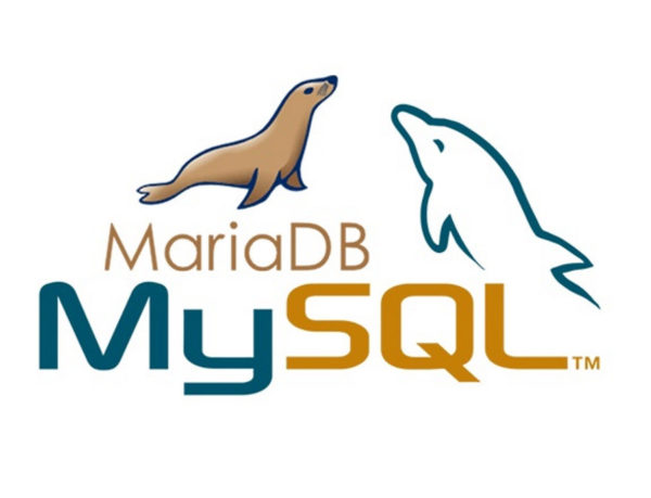 mysql